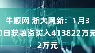 牛顺网 浙大网新：1月30日获融资买入413822万元